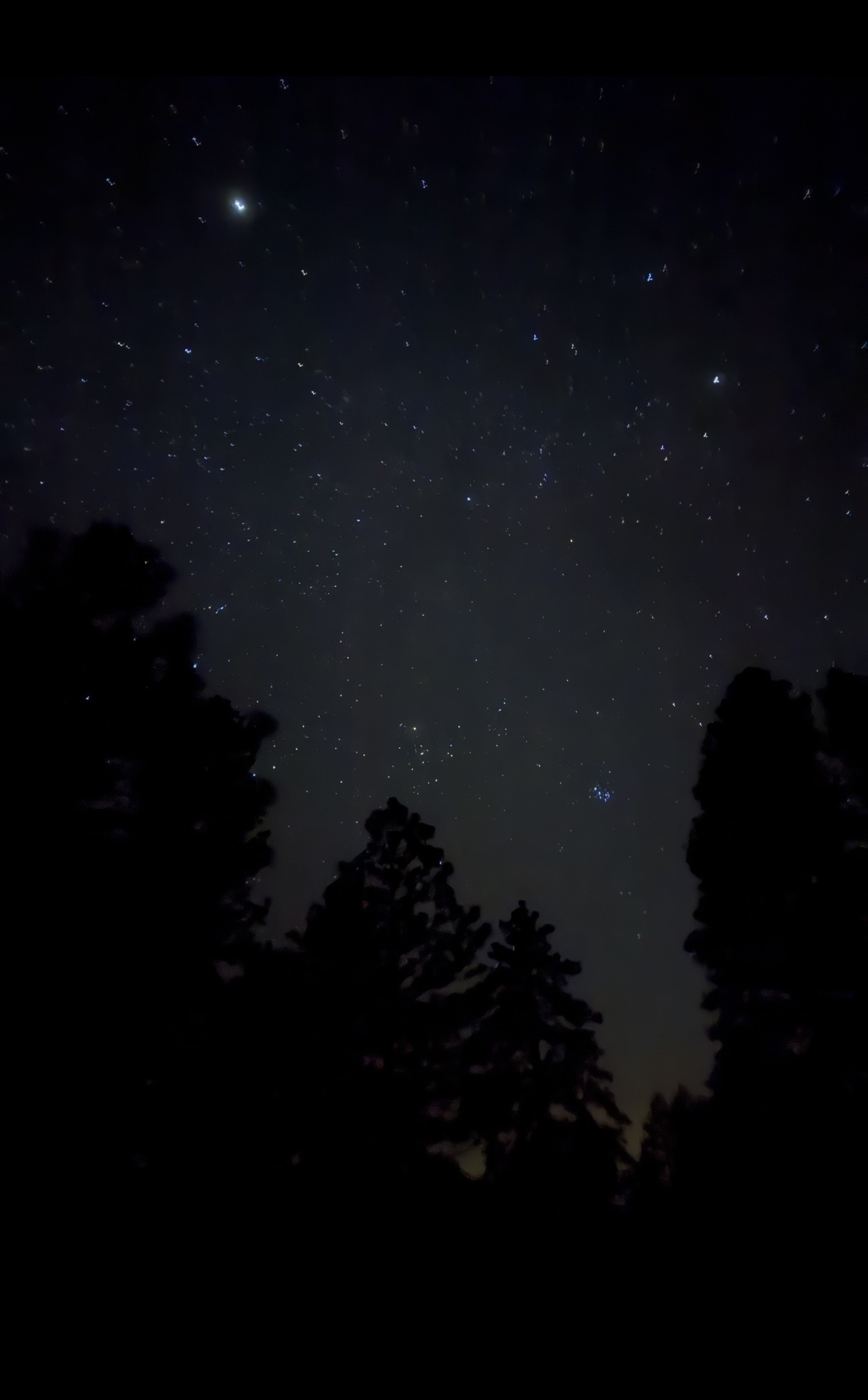 Bryce Canyon Stars