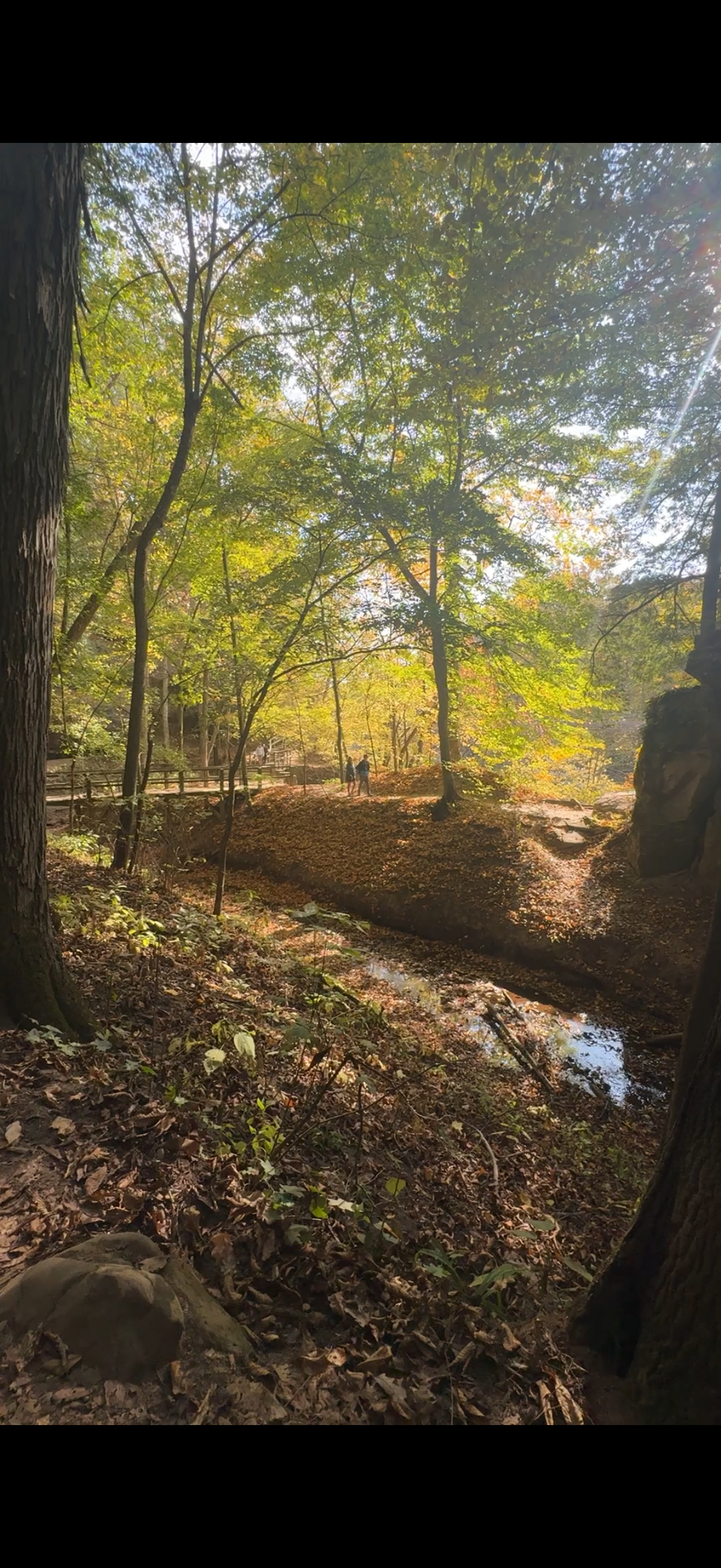 Turkey Run